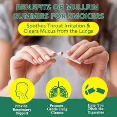 60 Count Mullein Gummies for Lung Cleanse, 2000mg Organic Mullein Leaf Extract f