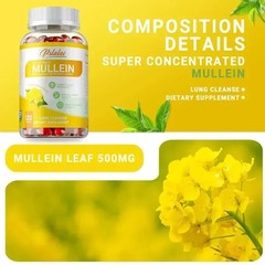 Mullein 240pcs – Promotes Digestion, Supports Lung and Respiratory Health