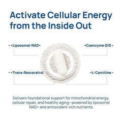 Selerb NAD+ Supplement designed for Men-With Liposomal-NAD+,CoQ10, L-Carnitine,