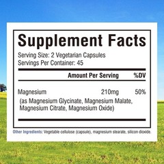 Magnesium Complex with Glycinate, Malate, Citrate & Oxide 90 Capsules
