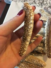 淡干野生白玉参 1 磅 小号,每磅55-60头Naturally Dried White Sea Cucumber 1 lb (Small 55-60/Lbs