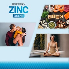 Zinc 220mg [High Potency] Supplement – Sulfate for 100 Count (Pack of 1)