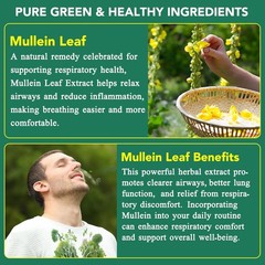 Organic Mullein Leaf Gummies – 60 Count, 2000mg for Lung Support