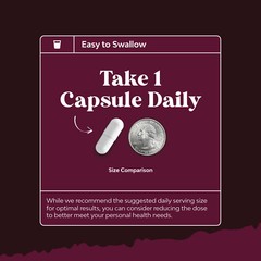 Kidney Support Cranberry Supplement for Women and Men 240ct