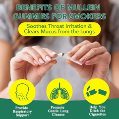 60 Count Mullein Gummies for Lung Cleanse, 2000mg Organic Mullein Leaf Extract f