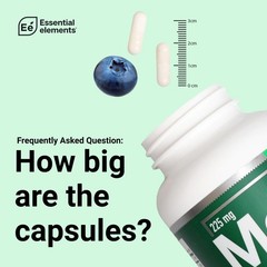Essential Elements Magnesium Plus Zinc with Vitamin D3 180 Count (Pack of 1)