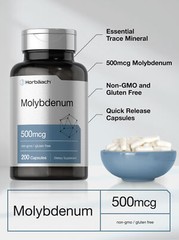 Molybdenum Supplement | 500mcg | 200 Capsules | Amino Acid Chelate | by Horbaach
