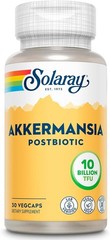 Shelf-Stable Akkermansia Postbiotic, 100mg per Capsule – 30 Servings of Gut Love