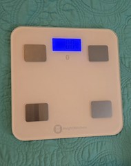 Handy Solutions Talking Digital Bathroom Scale 390 Lbs / 176 Kg, Very Good Works