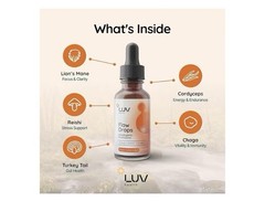 (2-Pack) LUV Wellness Flow Drops – Wellness LUV Flow Adaptogen Mushroom Blend Dr