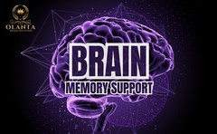 MIND MATRIX Neurotransmitter support, Learning support, Brain Support Supplement