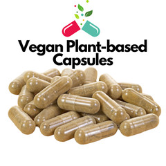 Echinacea Capsules 500mg | 60 CT | Organic Vegan Herbal Supplement | Immune Aid