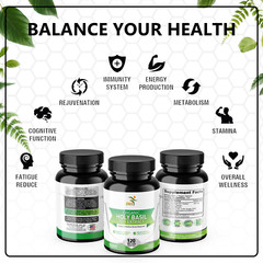 Organic Holy Basil 20:1 Extract 2.5% Ursolic Acid (120 Veg Capsules) Made In USA