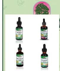Nature’s Answer GINGER ROOT EXTRACT 1 fl. oz 1000mg ( 30 Servings ) FREE SHIP!