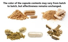 TURMERIC 95% CURCUMIN EXTRACT TUMERIC BLACK PEPPER ANTIOXIDANT BEST 240 caps