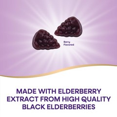 Nature’s Way Sambucus Elderberry Immune Support Gummies 60 Count (Pack of 3)