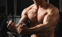 Muscle gainer protein powder – CREATINE TRI-PHASE – creatine usa 1 Bot 90 Tab