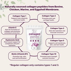 Micro Ingredients Multi Collagen Peptides Powder 16oz – Type I II III V X Unflav