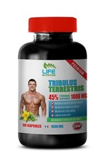 Premium Quality Testosterone – TRIBULUS TERRESTRIS 45% 1 Bottle 100 Caps