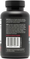 BURN Sculptnation EVOLVED 2.0 Fat Loss Supplement – 60 Capsules