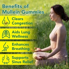 Mullein Gummies 60 Ct 2000mg Herbal Supplement Respiratory Support Pear
