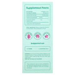 2 X JoySpring, DetoxZee + Cilantro, 1 fl oz (30 ml)