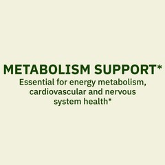 Spring Valley Vitamin B12 500 mcg Tablets Metabolism Support 100CT (2 Pack)