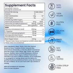 riev GABA Gummies – Honey Vanilla Flavor – with Vitamin B6, Magnesium, Chamomile