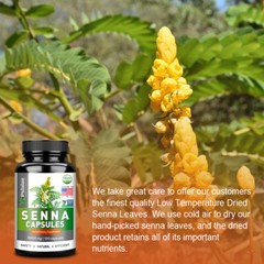 Senna Capsules 3000mg – Constipation Relief, Digestive Health, Detox Cleanse