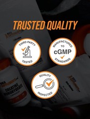 BulkSupplements Turkey Tail Mushroom Extract 120 Capsules – 1g Per Serving