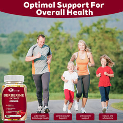 Berberine HCL 1200mg Ceylon Cinnamon Antioxidant Supplement 120 Capsules