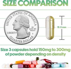 XPRS Nutra Size 3 Delayed Release Empty Vegan Capsules Pills Vegetable DIY