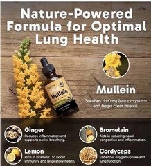 RespiClear Wild Mullein Leaf Extract Liquid Drops Vegan Non-GMO Lemon 2 fl oz P