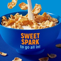 Kellogg’s Frosted Flakes Breakfast Cereal, Fat Free, 28.5 Ounce (Pack of 1)