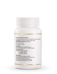 GL DXN 30 Capsules 100% Ganoderma Lucidum x 450mg Supplement #Sports Vitamins