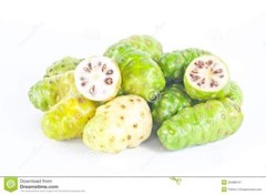 Parasite free – NONI – ANTI PARASITE Complex – papaya fruit – 2 Bottles COMBO