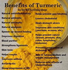 120 Circulation Support with Turmeric Capsules – Nitric Oxide, Blood Flow + More