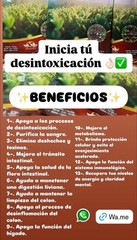 Vida Divina TeDivina Detox Tea All Organic Healthy Cleansing Formula *Authentic*