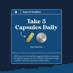Balancing Berberine Plus 1200mg Complex Per Serving Antioxidant 90ct