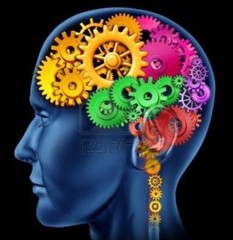 metabolism booster – BRAIN & MEMORY BOOSTER Complex – brain booster – 2 Bottles