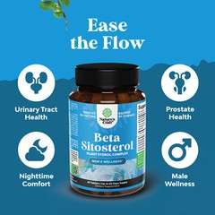 Plant Sterols Complex with Beta Sitosterol – 500mg Beta-Sitosterol Sterols