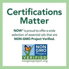 NOW Mango Slices- 10 oz, No Preservatives, No Preservatives or Added Sulfur