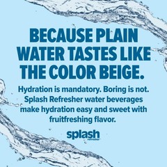 SPLASH REFRESHER Flavored Water Bottles, Lemon 16.9 Fl Oz Pack of 6, Clear
