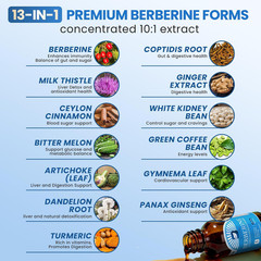 Berberine Supplement with Ceylon Cinnamon – Berberine Liquid Drops with Milk Thi