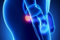 Full-Spectrum Herbal Cleansing – PROSTATE SUPPORT – Daily Nutrient 3Bot