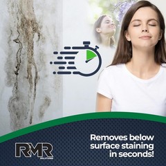 RMR-86 Instant Mold Stain and Mildew Stain Remover Spray – Scrub Free Formula,