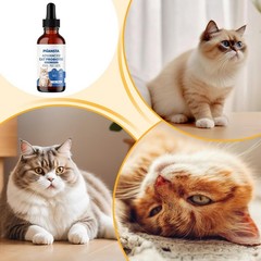 (1-Pack) Blisso innovative Cat Probiotic Drops – Digestive Support Liquid Drops