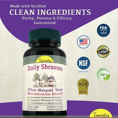 Chaga Supplement | Best Supplement Capsule Pill Men Women FREE SHIP