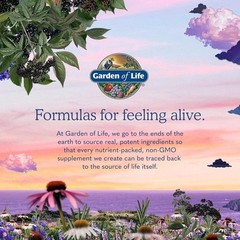 Organic 60-Count CoQ10 200mg Capsules – Heart Health & Digestive Support
