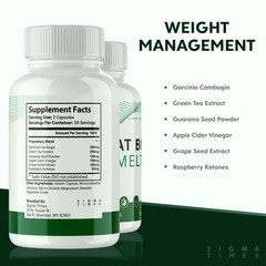 Flat Belly Melts Supplement- Advanced Formula Support Pills – FS!, Pack of 1